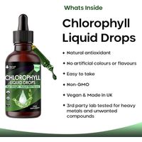 New Leaf Chlorophyll Drops